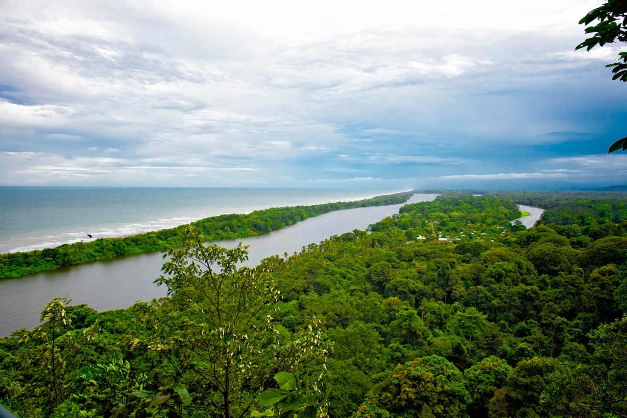 Appartamento The Corner House Tortuguero Esterno foto