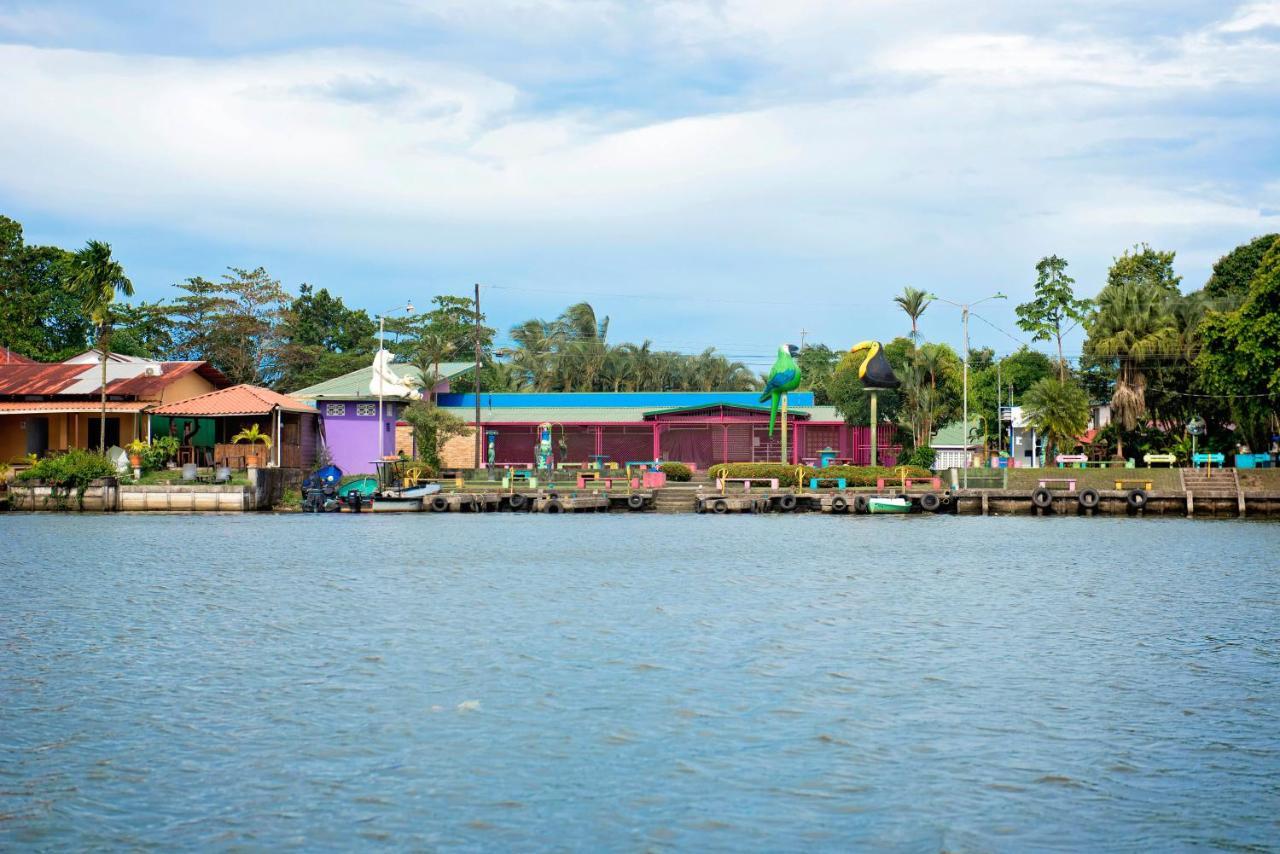 Appartamento The Corner House Tortuguero Esterno foto