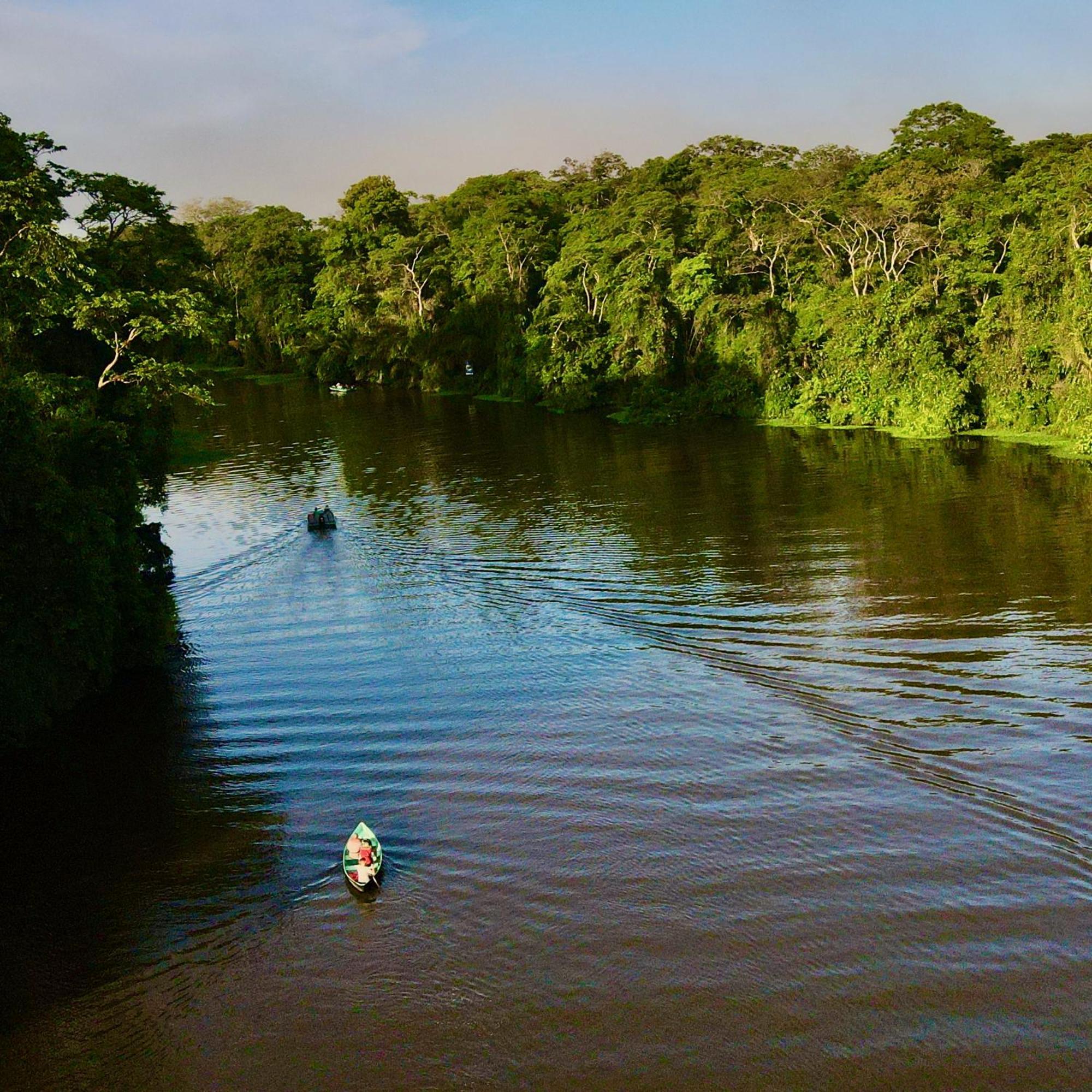 Appartamento The Corner House Tortuguero Esterno foto